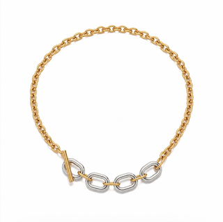Isla Two Tone Chunky Chain Necklace