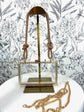 Golden Hour Clear Clutch