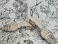 Lucy Acrylic Snake Slide - Best & Co. Boutique