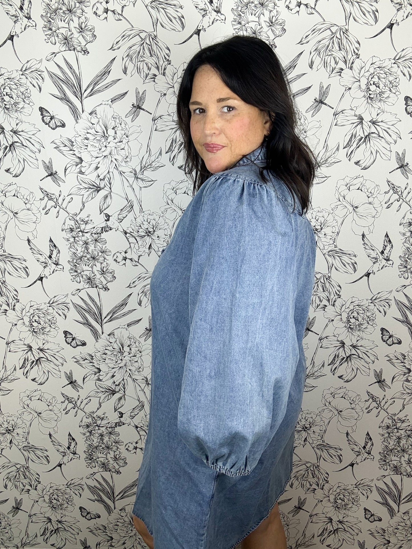 Blue Ridge Denim Dress