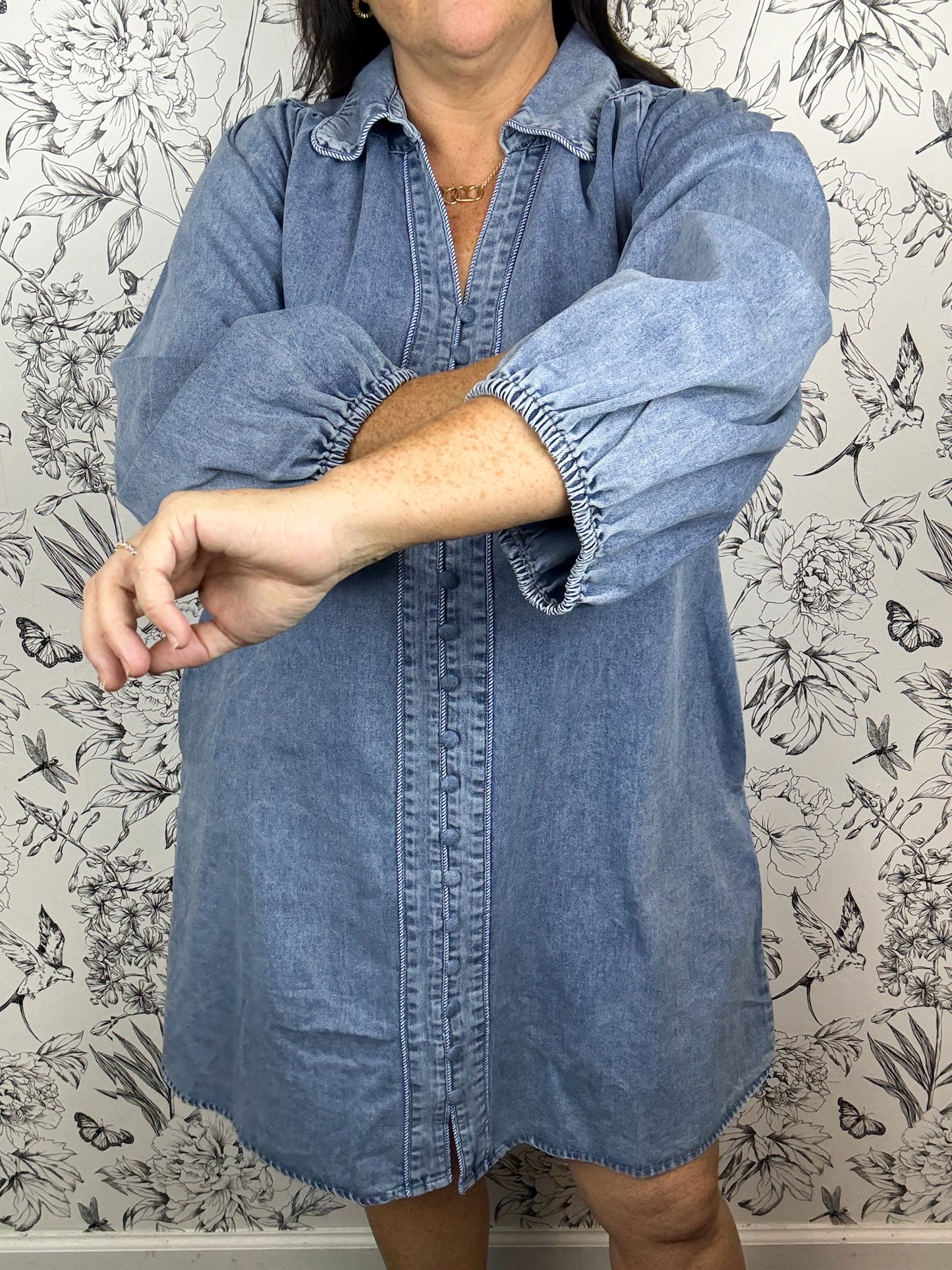 Blue Ridge Denim Dress