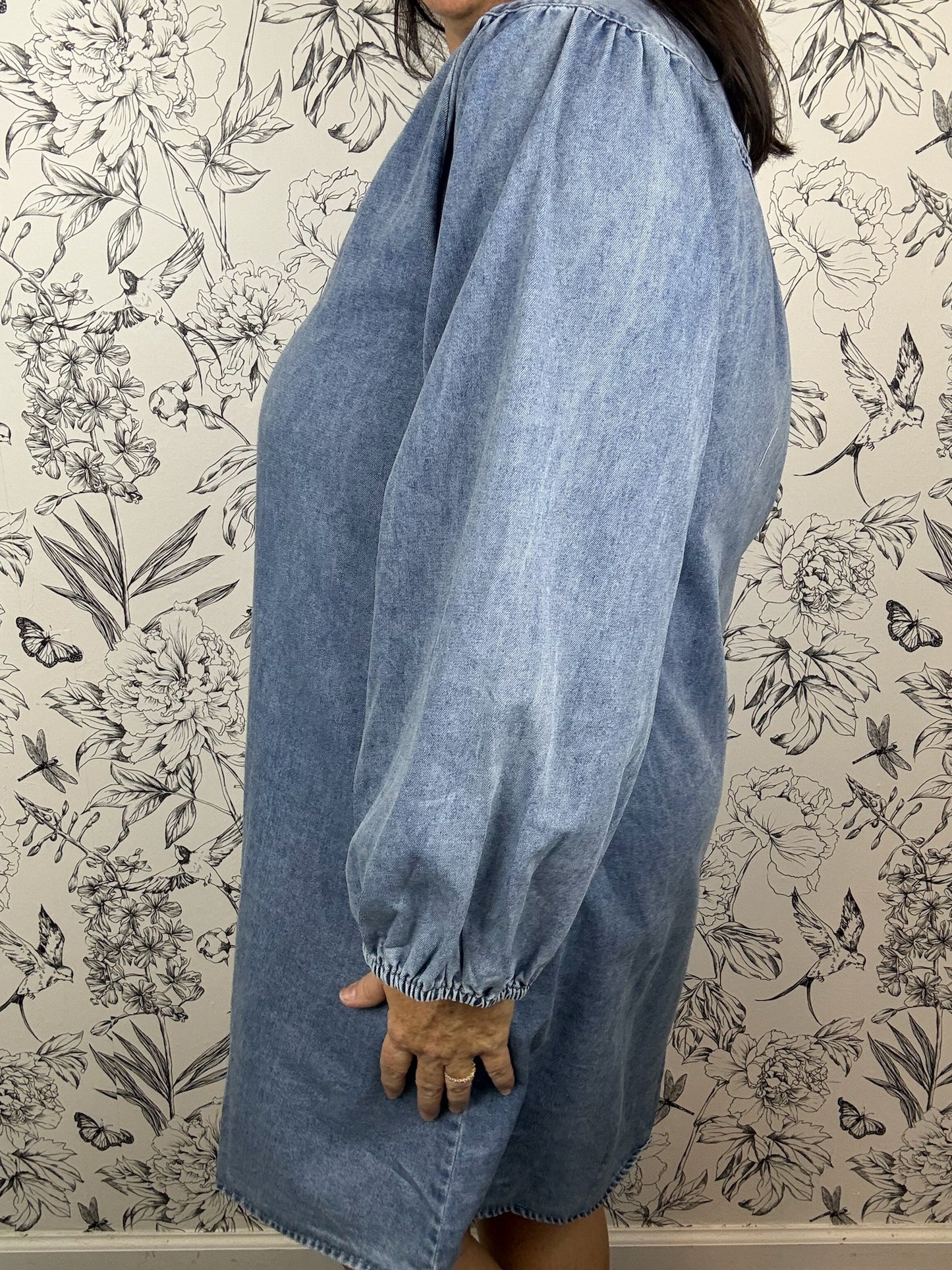 Blue Ridge Denim Dress