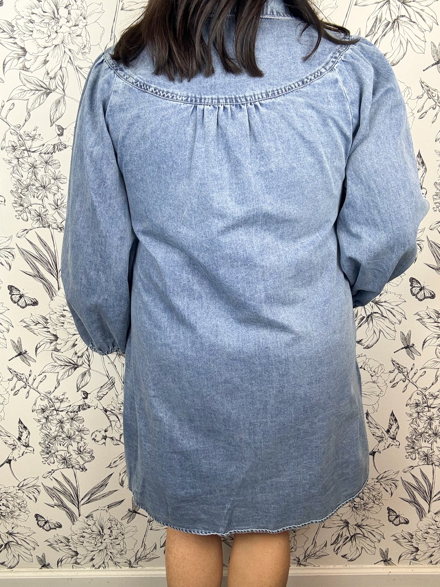 Blue Ridge Denim Dress