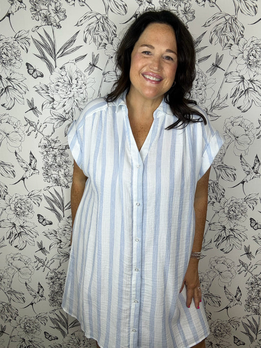 blue and white stripe mini dress Z SUPPLY