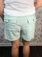Katana Linen Short in Mint