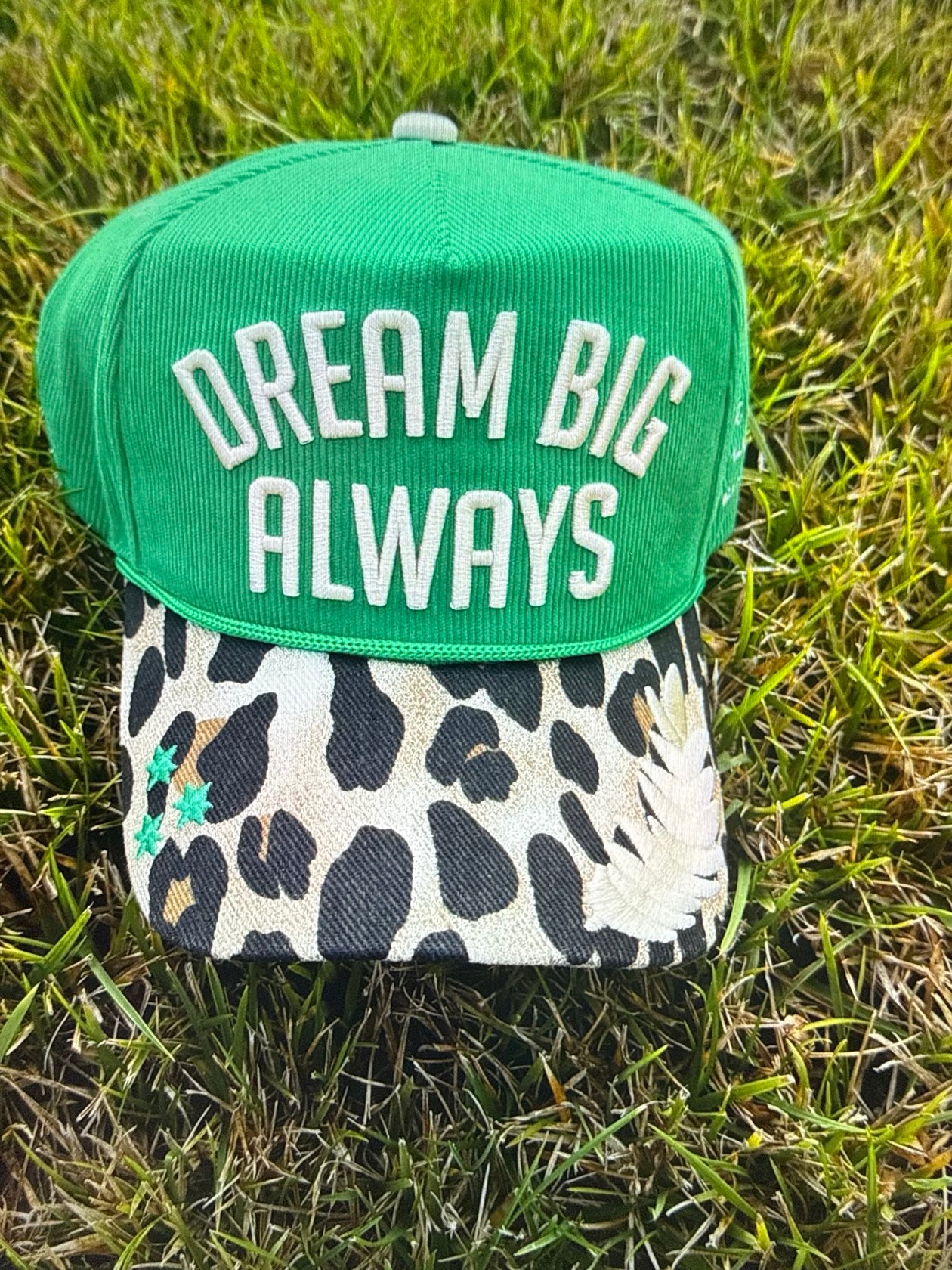 Dream Big Always Hat